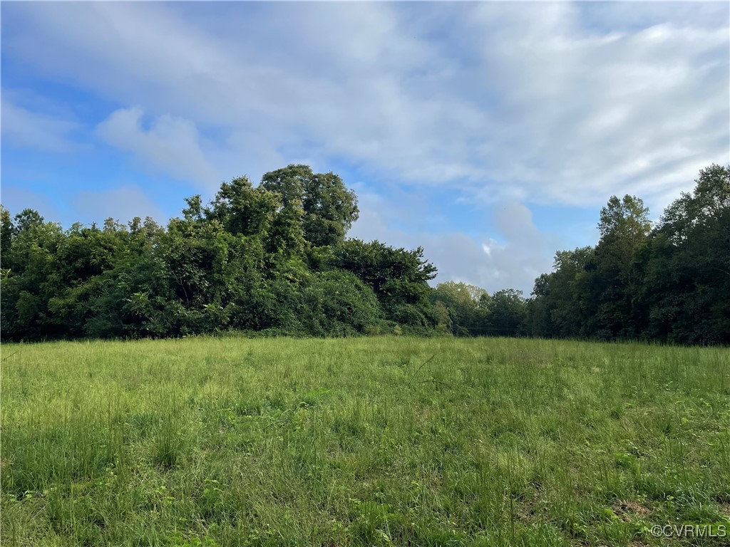 1105 Stewarts Road Toano, VA 23168 - Photo 7 of 27 View of local wilderness