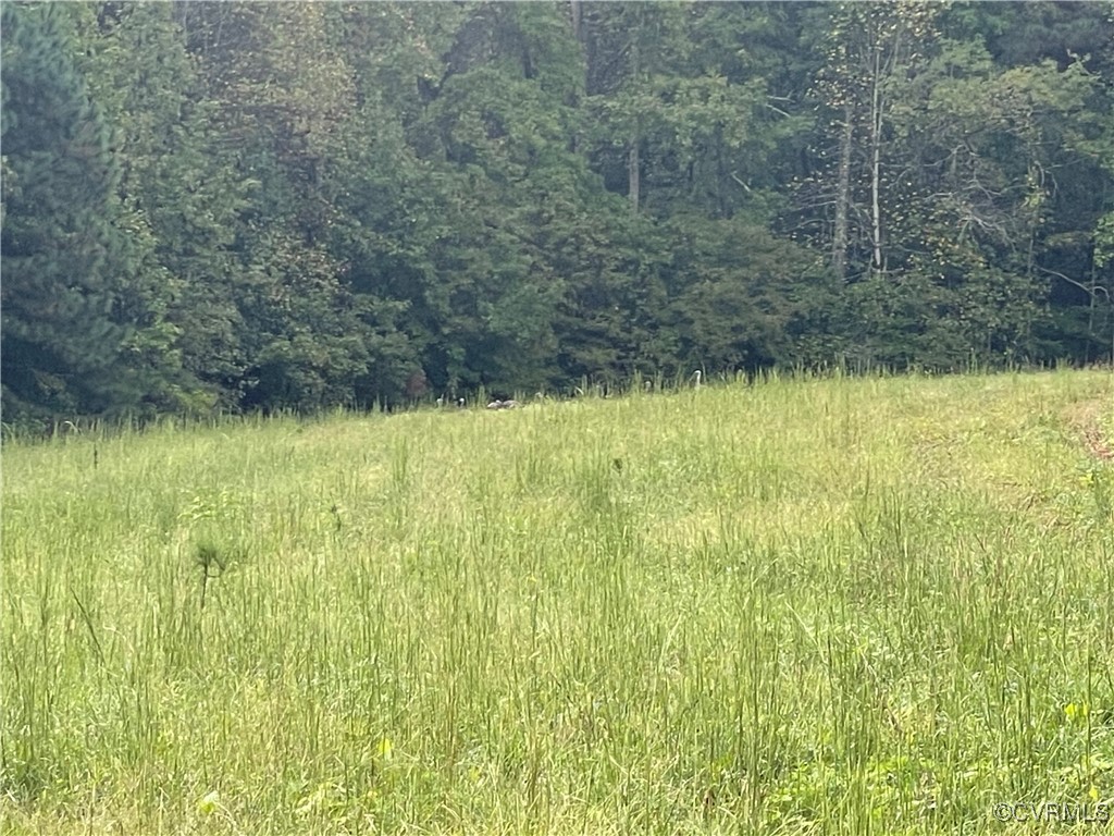 1105 Stewarts Road Toano, VA 23168 - Photo 9 of 27 View of nature