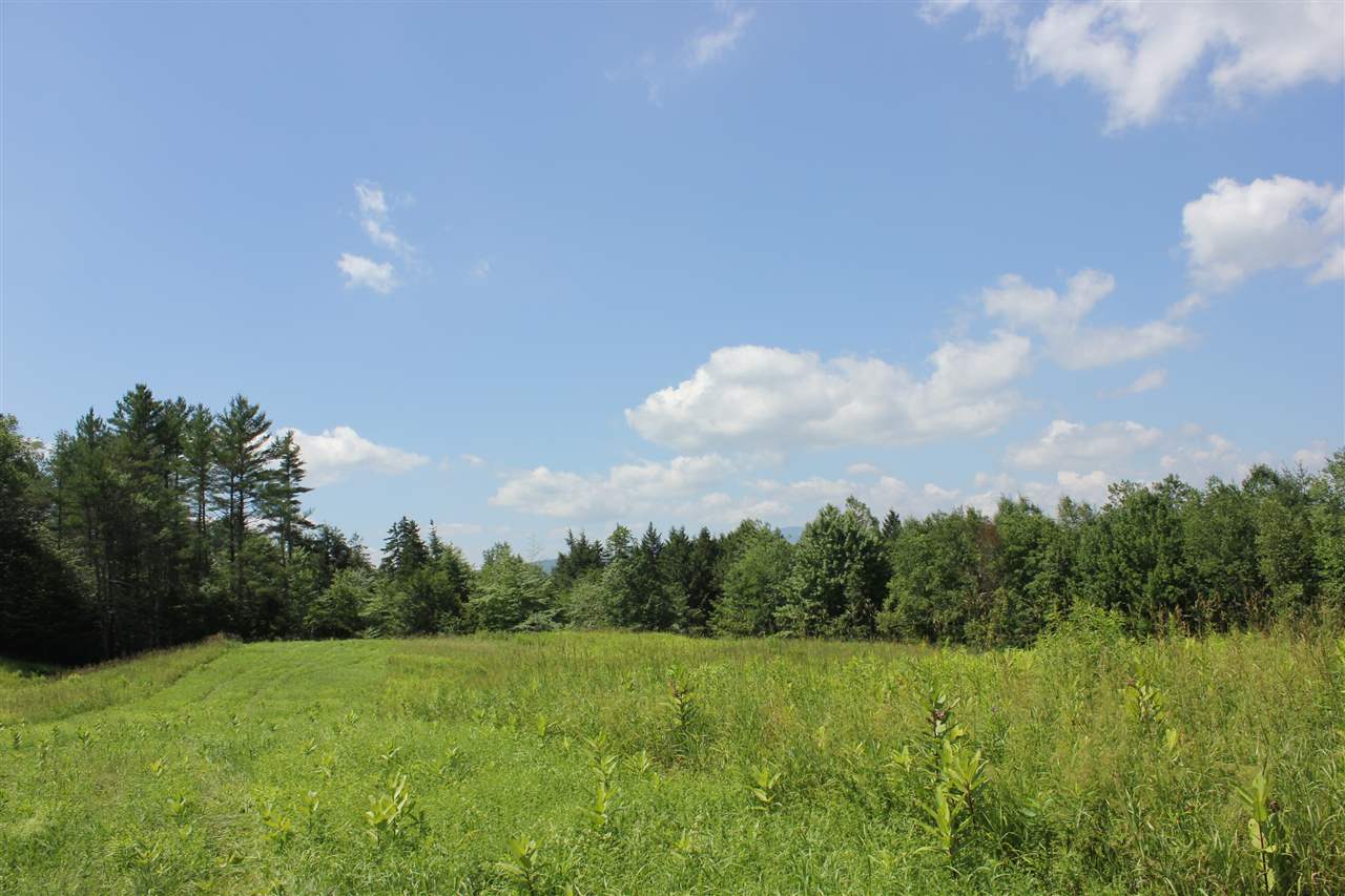 650 Cross Road, Unit LOT 2 Londonderry, VT 05155 - Photo 3 of 18