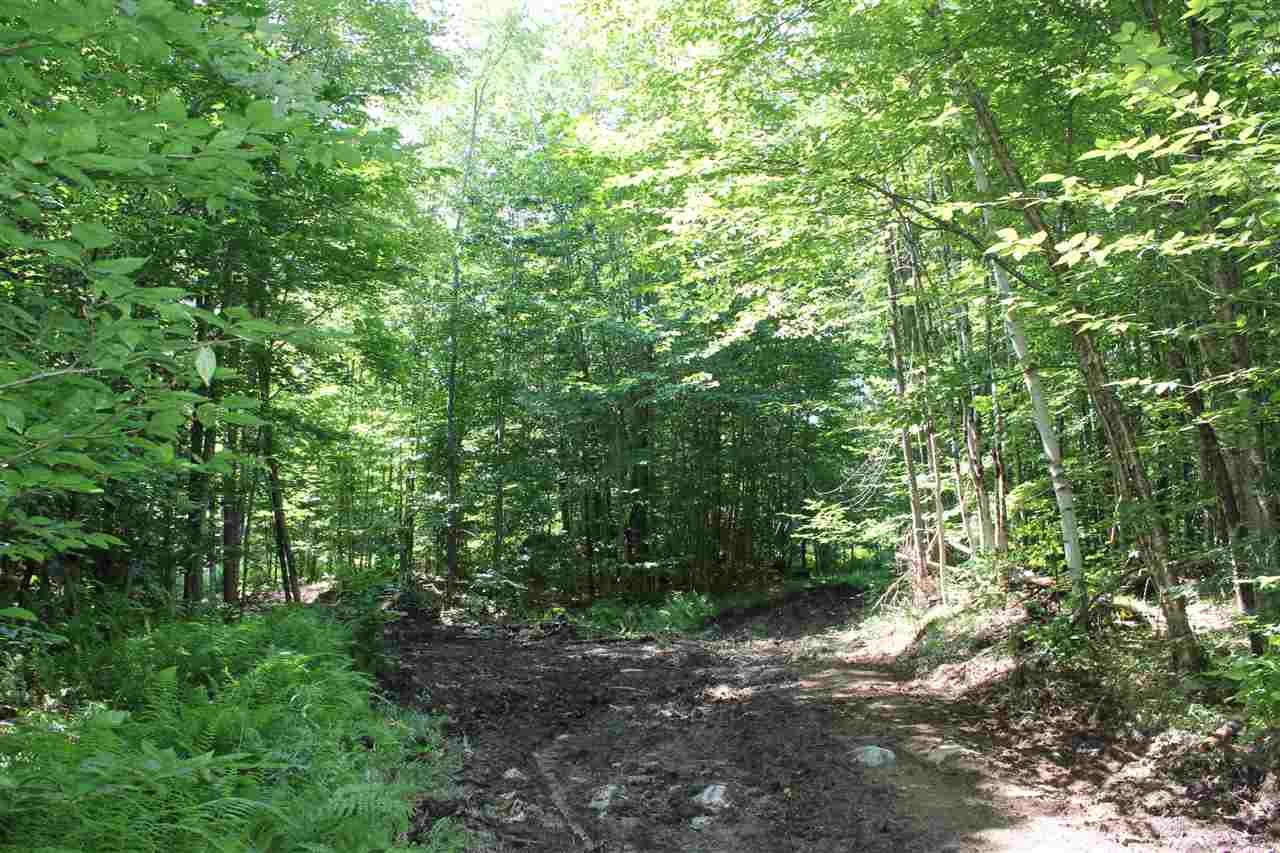 650 Cross Road, Unit LOT 2 Londonderry, VT 05155 - Photo 8 of 18