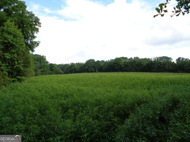 2411 Kesler Road Carnesville, GA 30521 - Photo 11 of 11