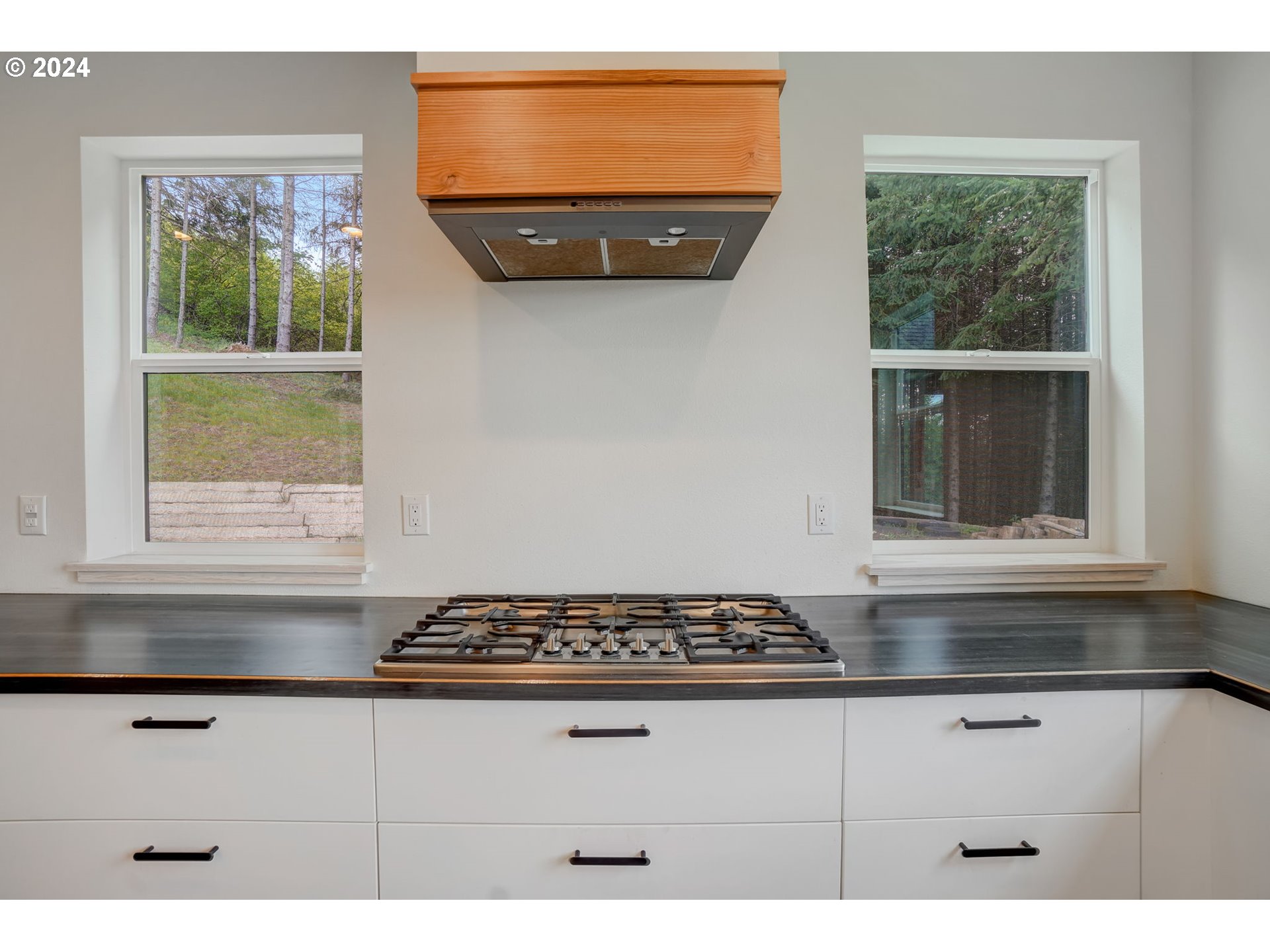1710 Knights Bridge Road Amboy, WA 98601 - Photo 20 of 48 Gallery Image 20