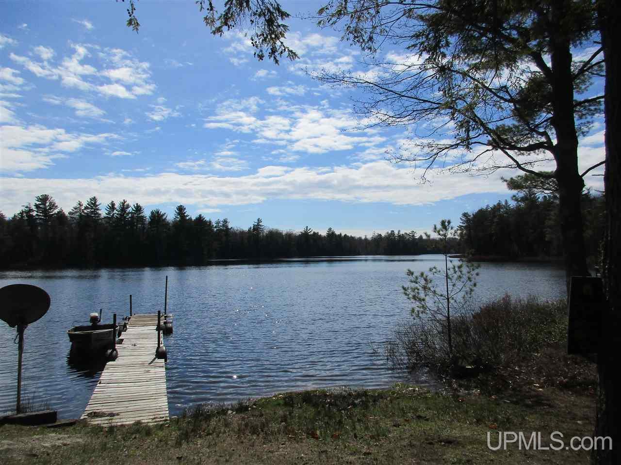 E17007 Nevins Lake Road Shingleton, MI 49884 - Photo 25 of 25