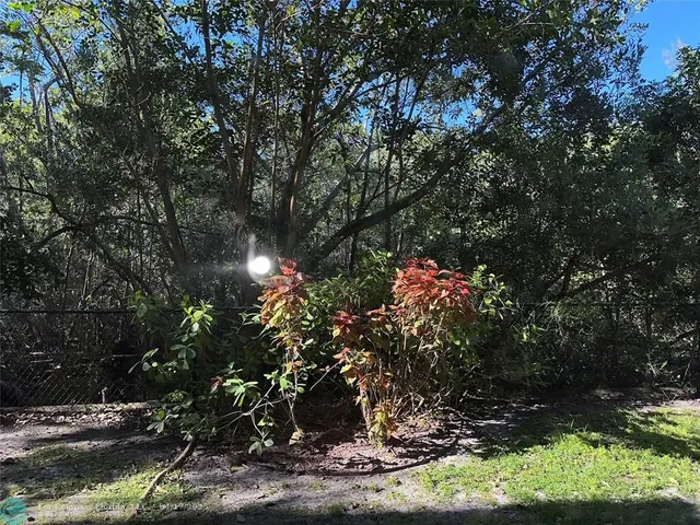 a view of a tree in a yard