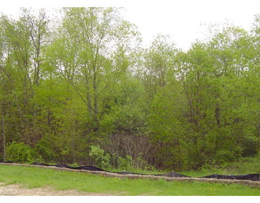 57 Ramshorn Road Charlton, MA 01507 - Photo 12 of 12 a view of a yard