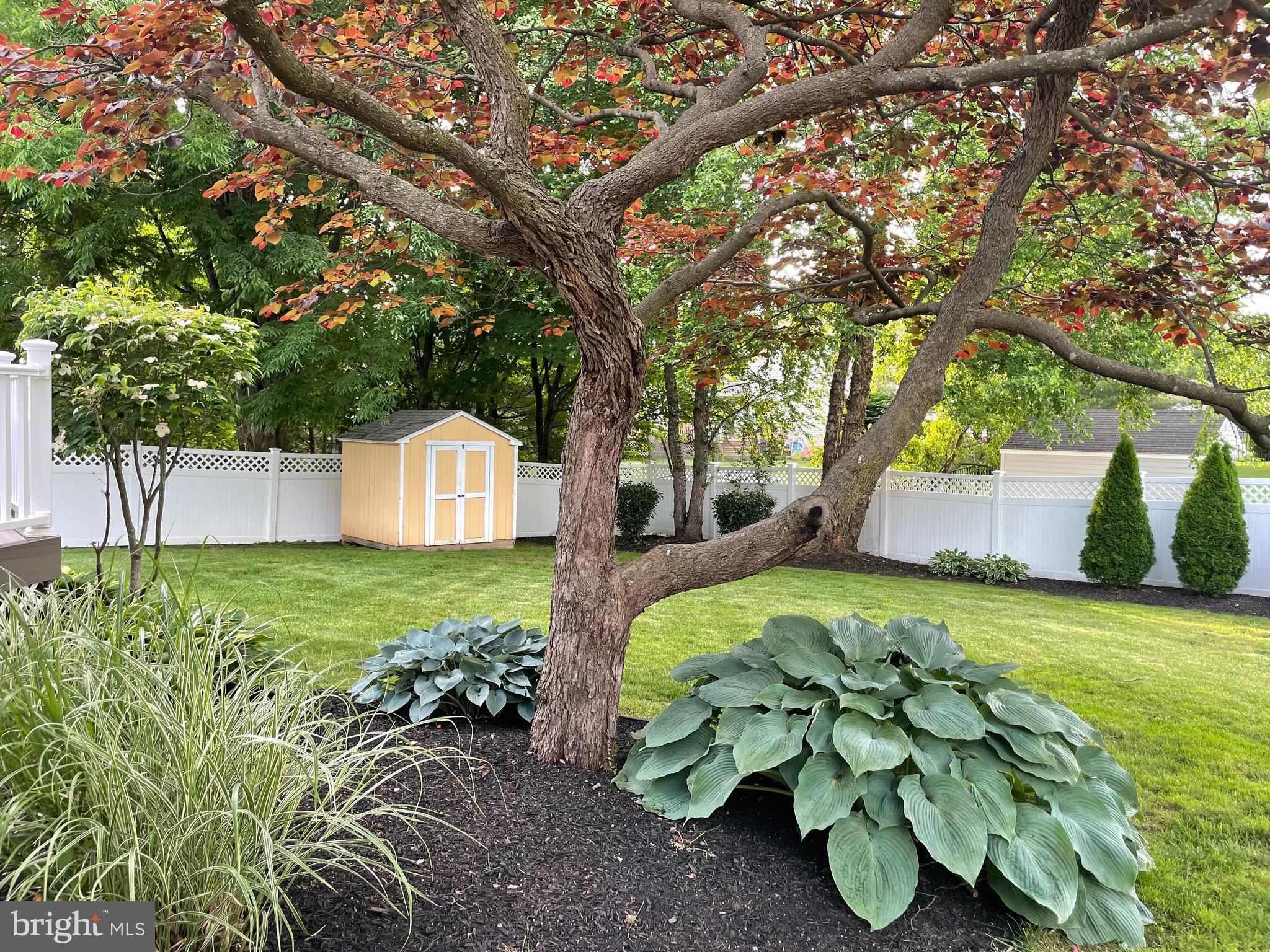 1659 Fairfield Road Yardley, PA 19067 - Photo 48 of 51 Back Yard