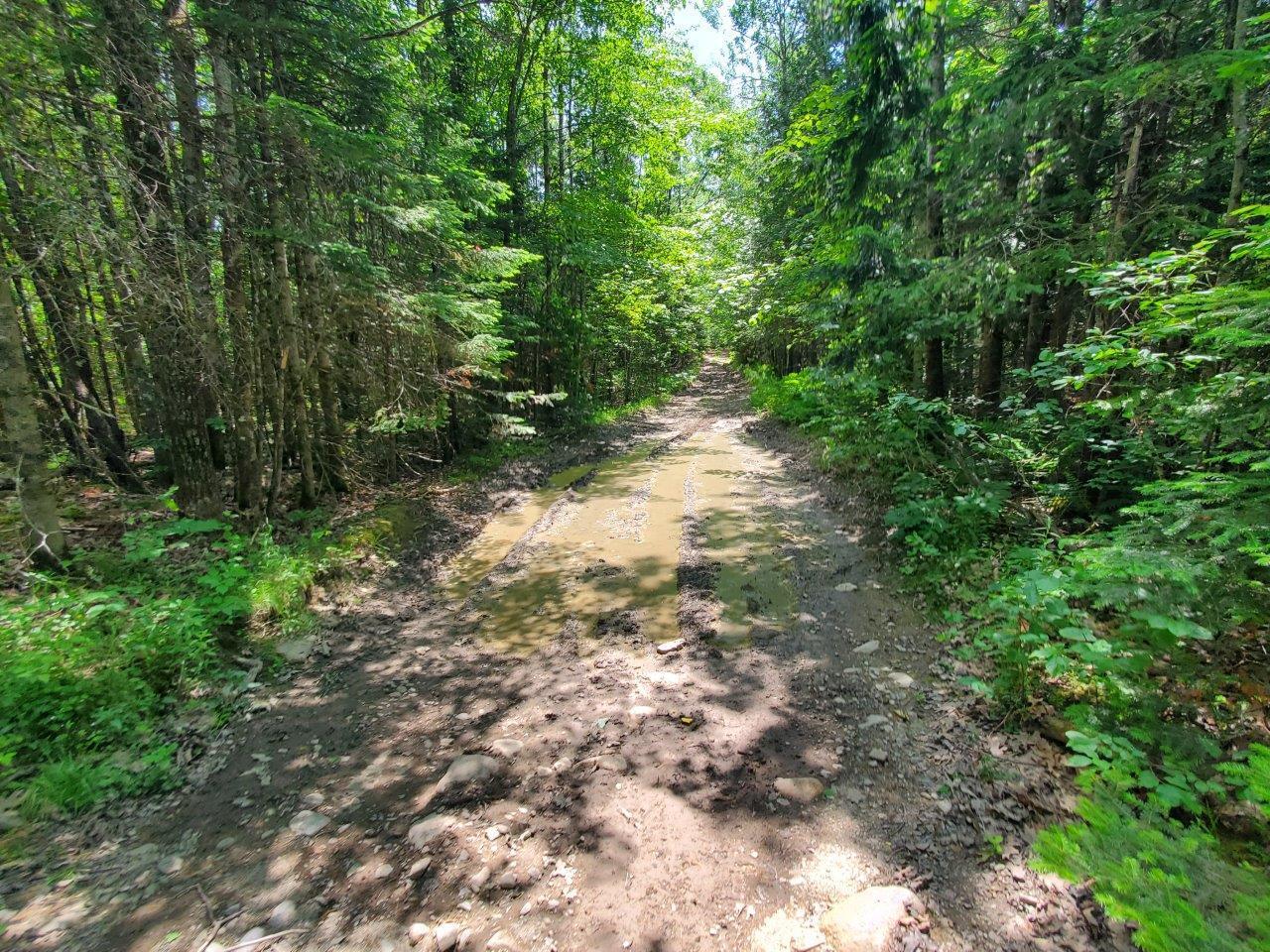 0 Morgan Road Burnham, ME 04922 - Photo 21 of 69 20250617_124005