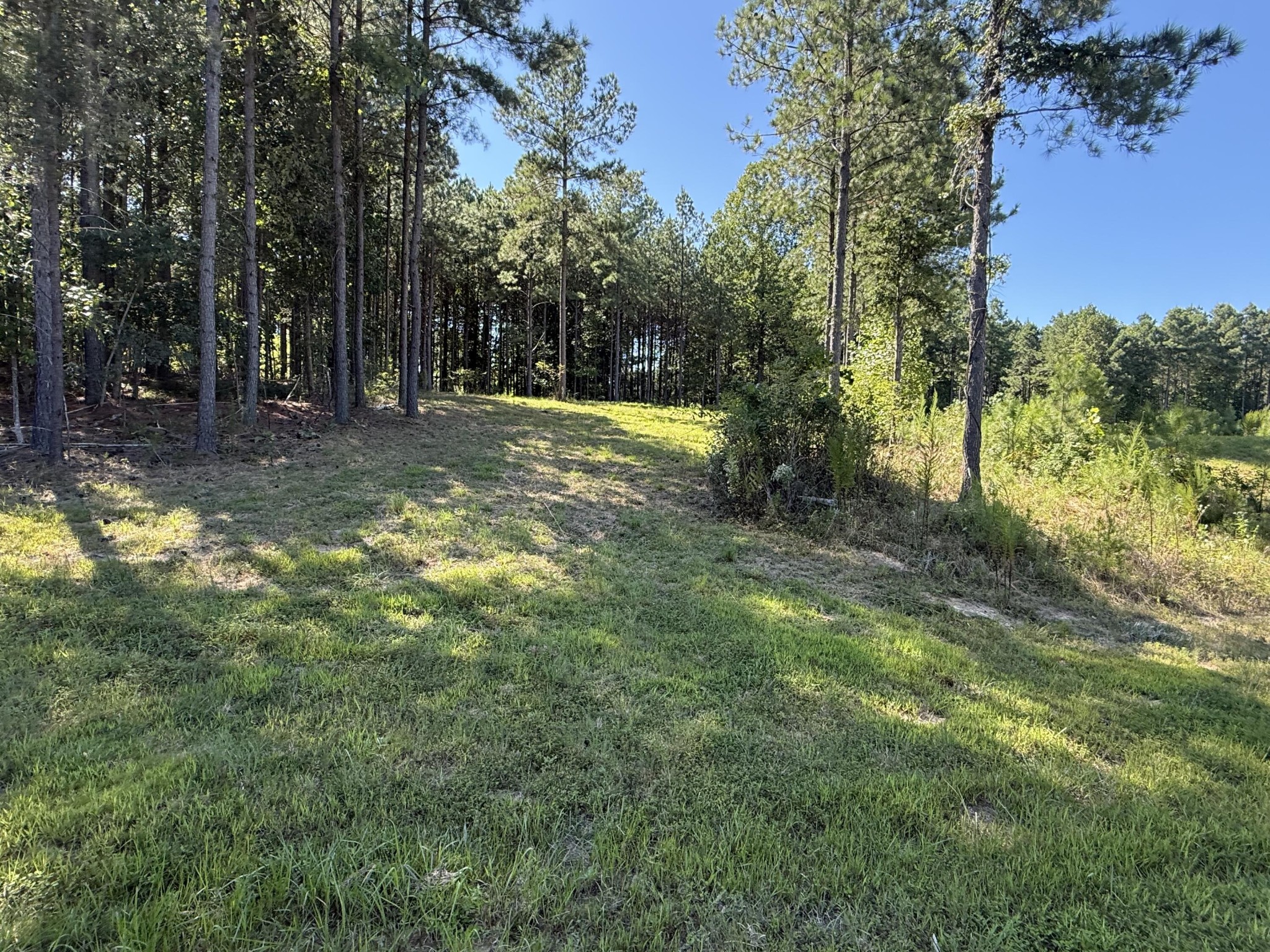 350 Crockett Loop Jasper, TN 37347 - Photo 24 of 55 a view of outdoor space with trees all around