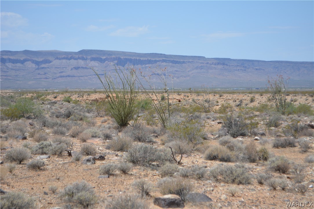 208-24-134 Cameron Road Yucca, AZ 86438 - Photo 32 of 86