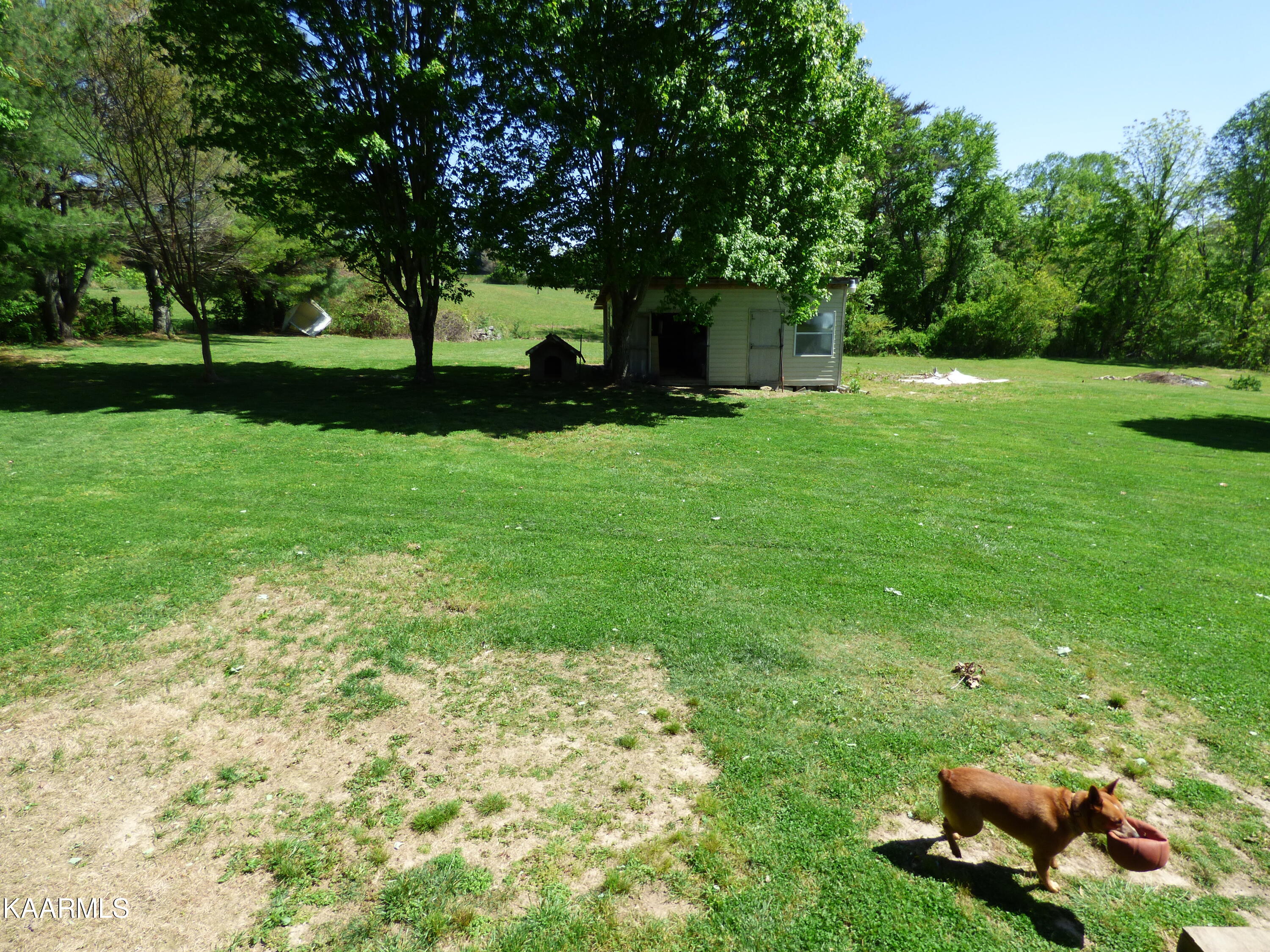 263 Houston Road Crossville, TN 38555 - Photo 34 of 49 P1070059
