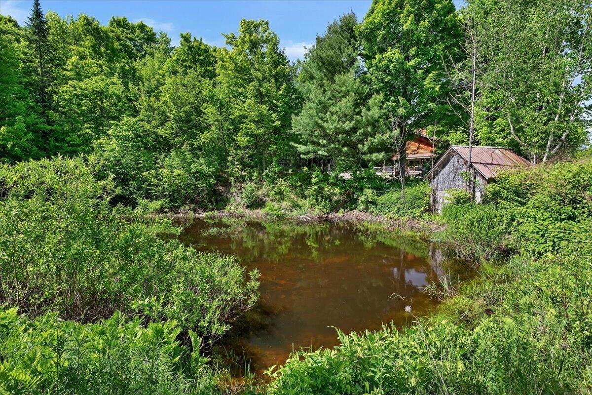 146 Big Brook Road Indian Lake, NY 12842 - Photo 39 of 41