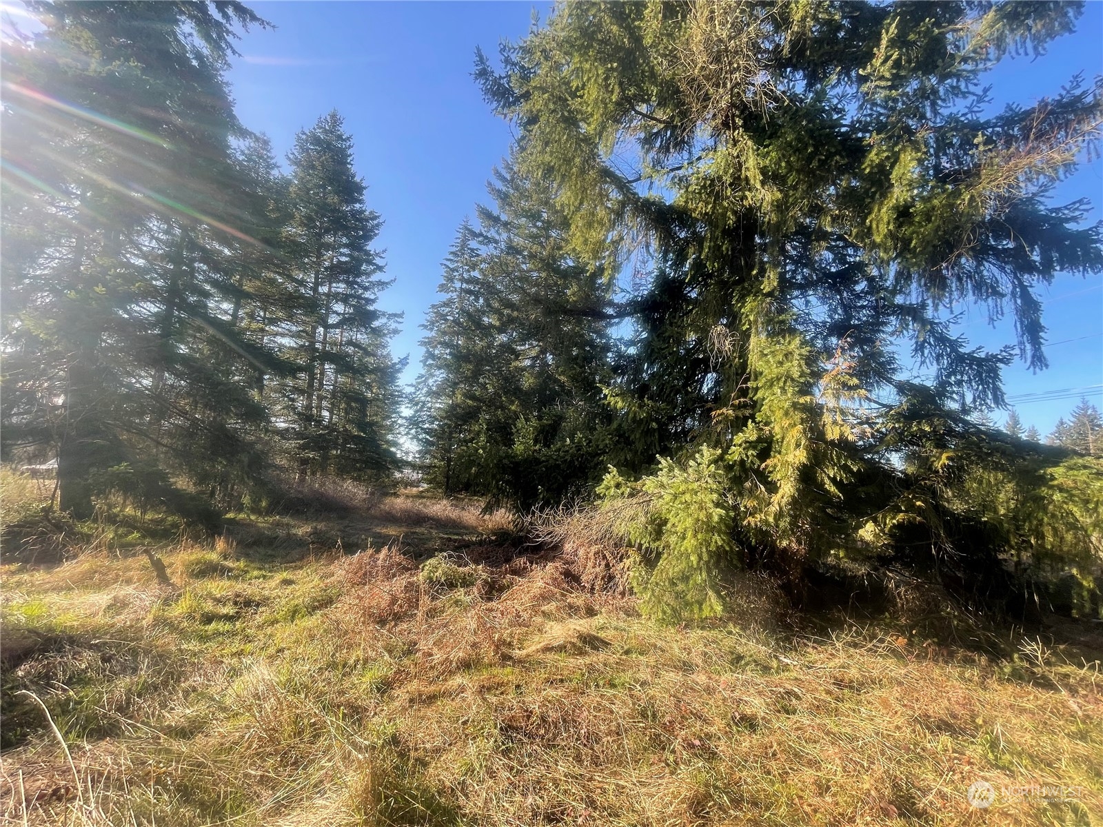 9992 Hulse Road Port Angeles, WA 98362 - Photo 9 of 34 Gallery Image 9