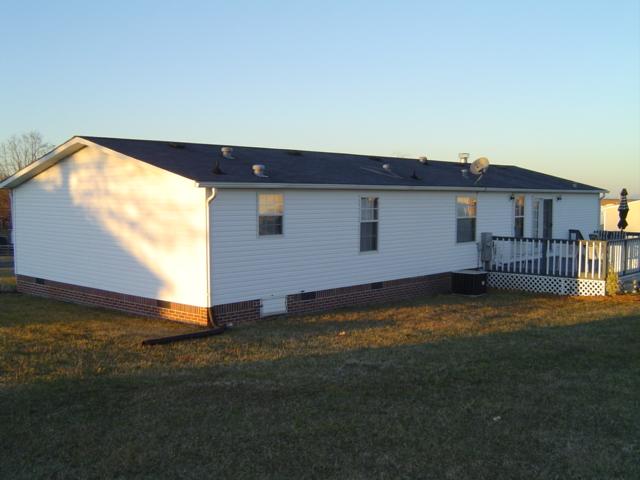 Back View