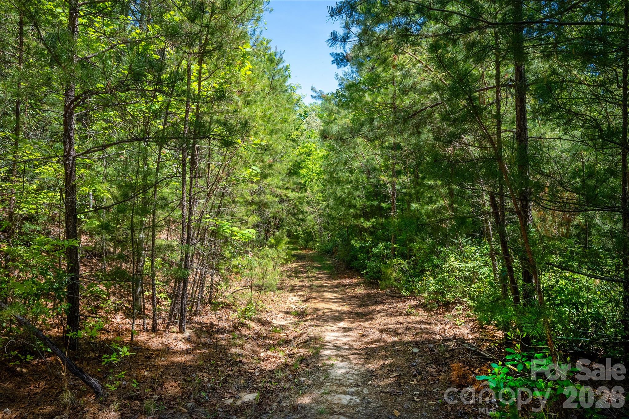 Tbd Springhouse Trail, Unit L15 Brevard, NC 28712 - Photo 8 of 21