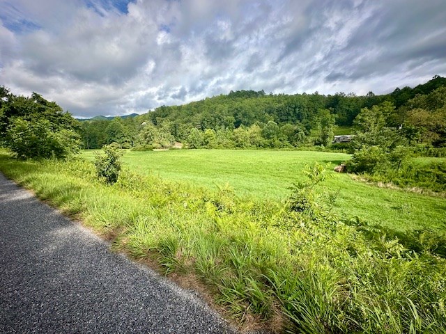 1 Thumping Creek Road Hayesville, NC 28904 - Photo 2 of 6
