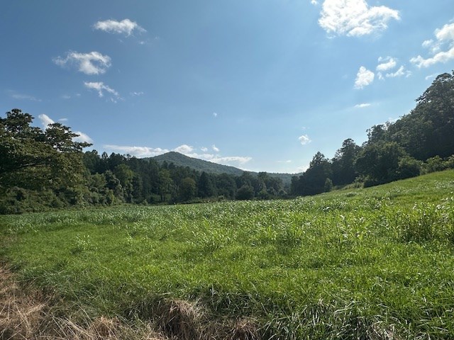 1 Thumping Creek Road Hayesville, NC 28904 - Photo 3 of 6