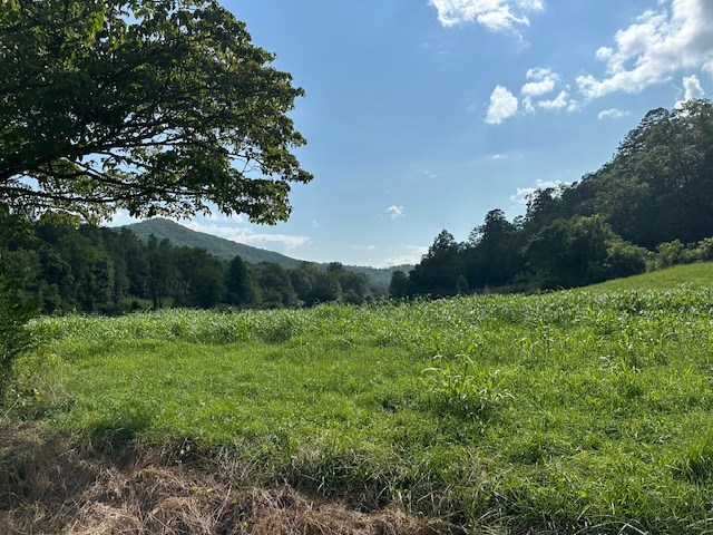 1 Thumping Creek Road Hayesville, NC 28904 - Photo 4 of 6