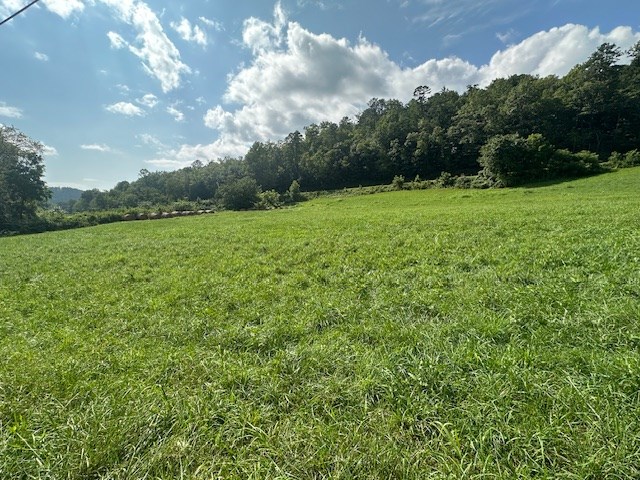 1 Thumping Creek Road Hayesville, NC 28904 - Photo 5 of 6