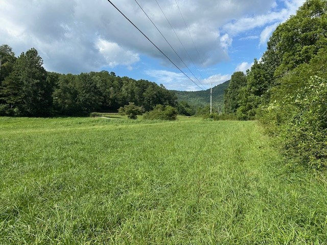 1 Thumping Creek Road Hayesville, NC 28904 - Photo 6 of 6