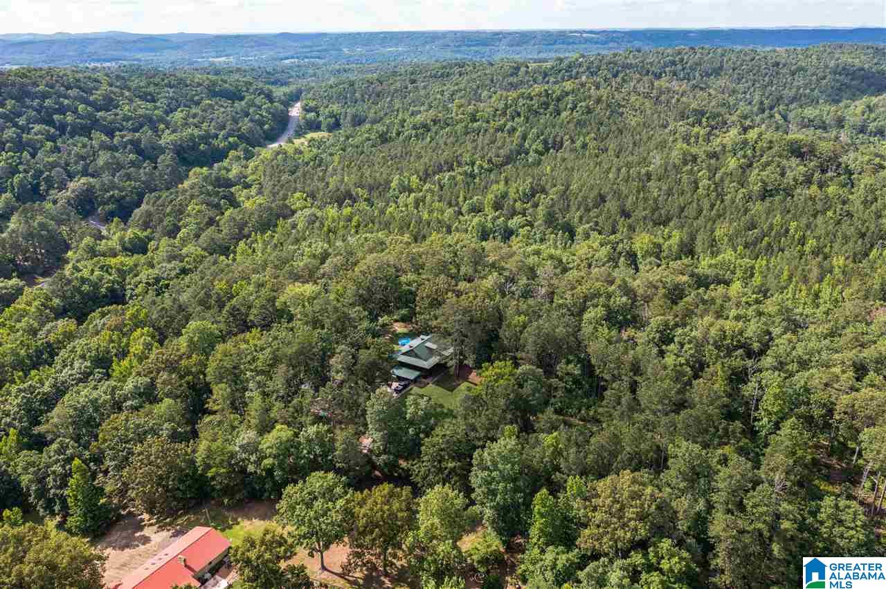 56304 Highway 231 Oneonta, AL 35121 - Photo 46 of 50