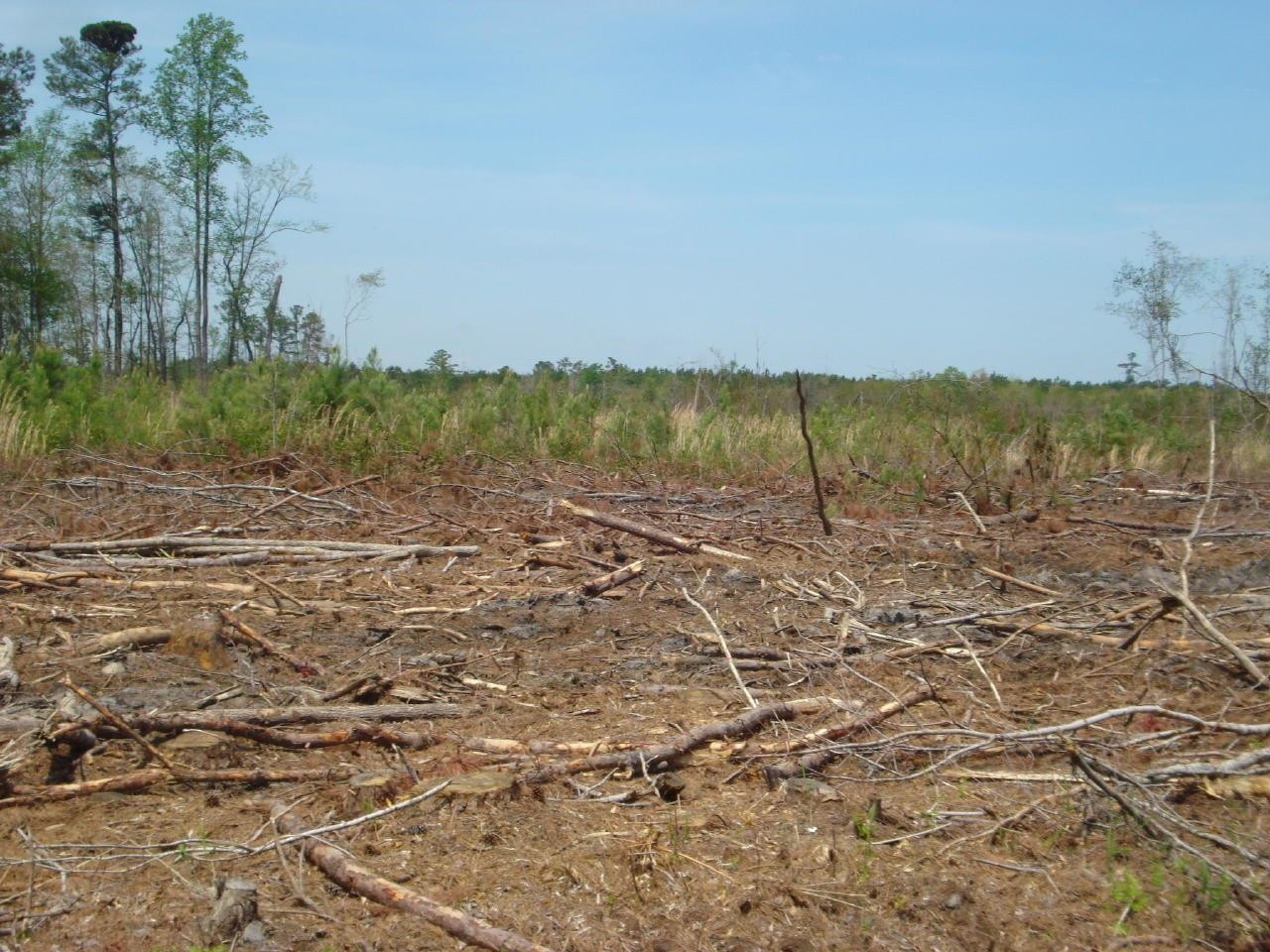 Obj Road Dunn, NC 28334 - Photo 1 of 19 Photo 1
