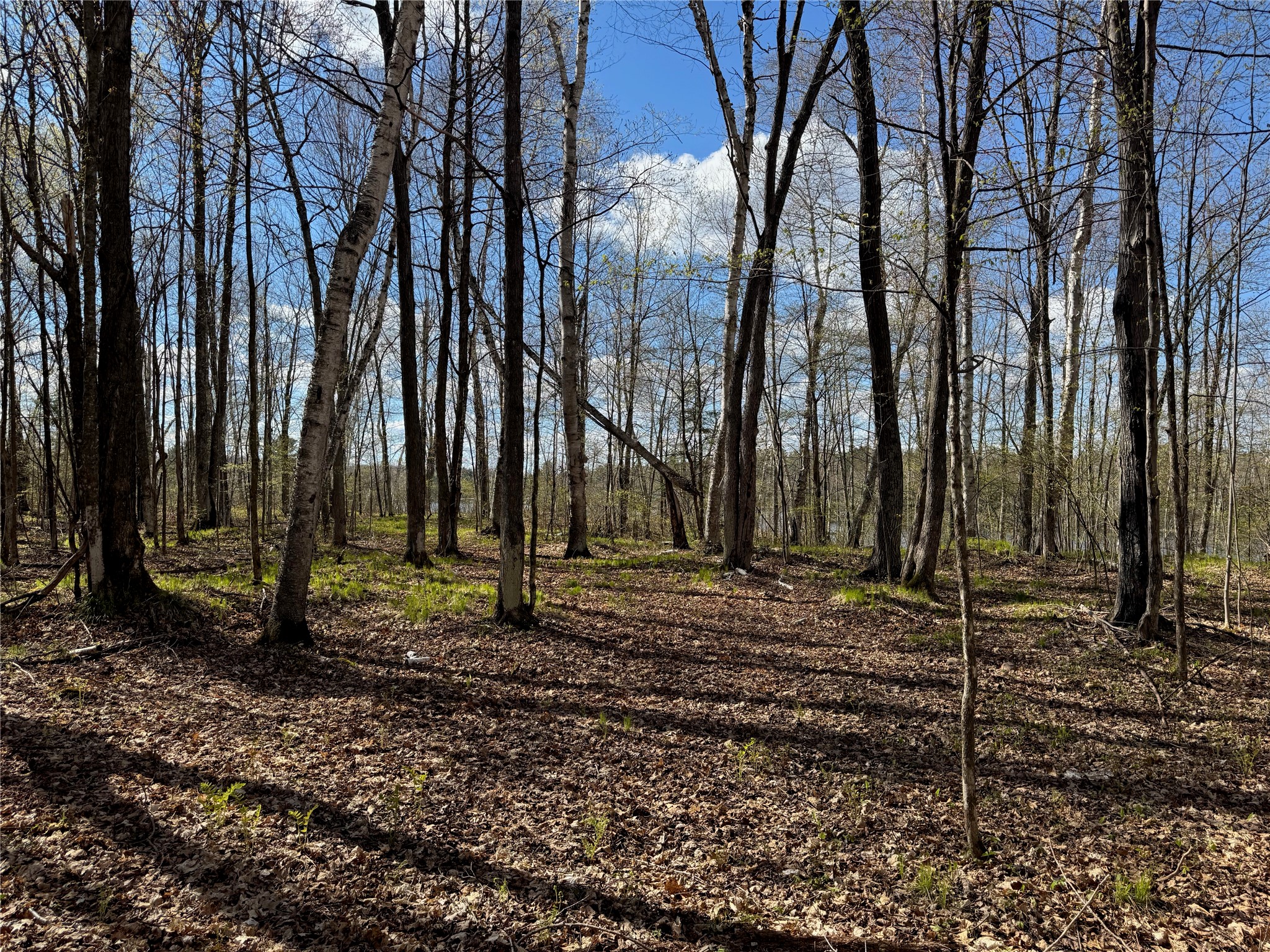 Lot 7 Trapper Trail Hayward, WI 54843 - Photo 28 of 42