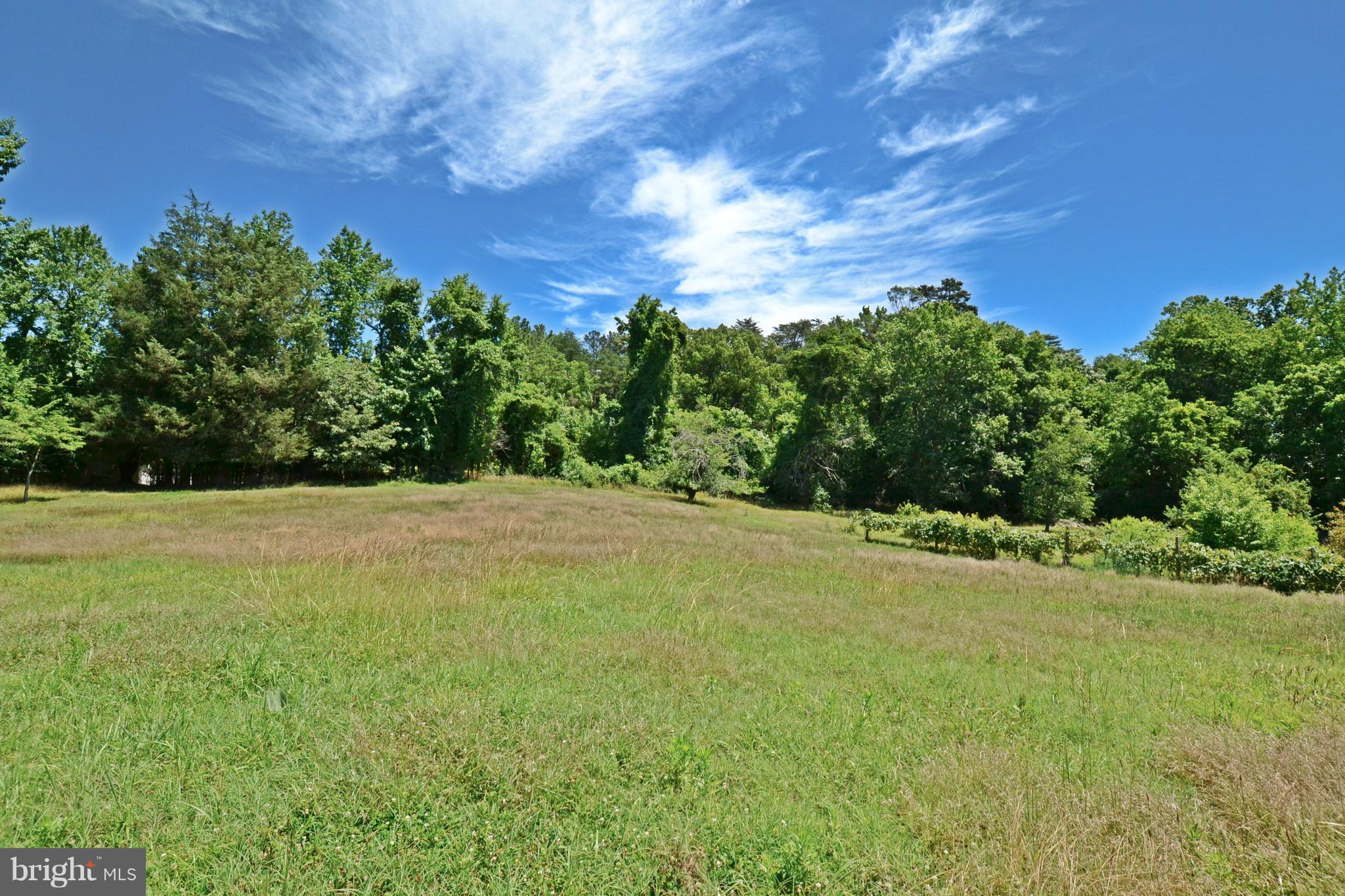 8320 Temple Hill Road Clinton, MD 20735 - Photo 13 of 24 Exterior (General)
