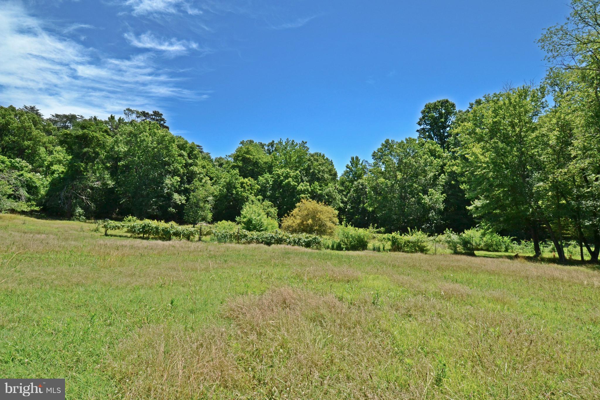 8320 Temple Hill Road Clinton, MD 20735 - Photo 14 of 24 Exterior (General)