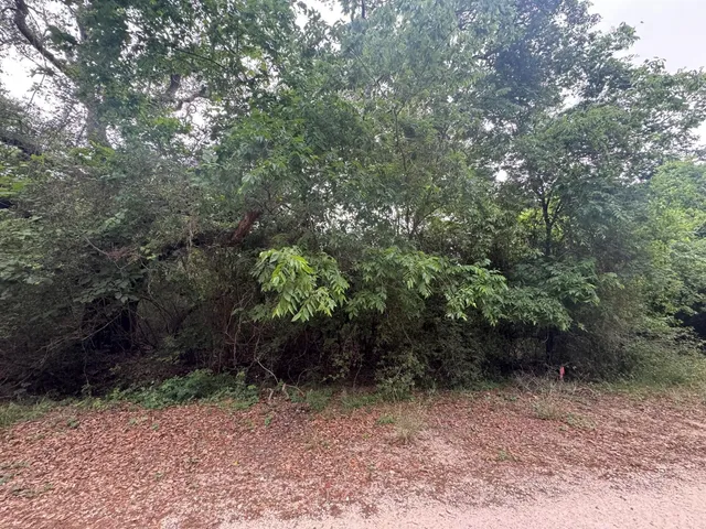 $9,000 | 1 Grand Oak Street, Palacios, TX 77465