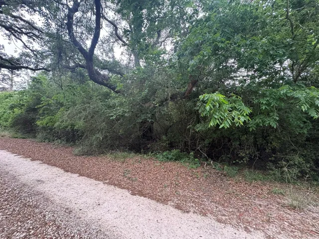 a view of a yard with a tree