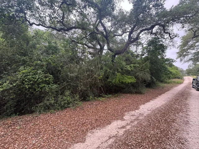 a view of a yard with a tree