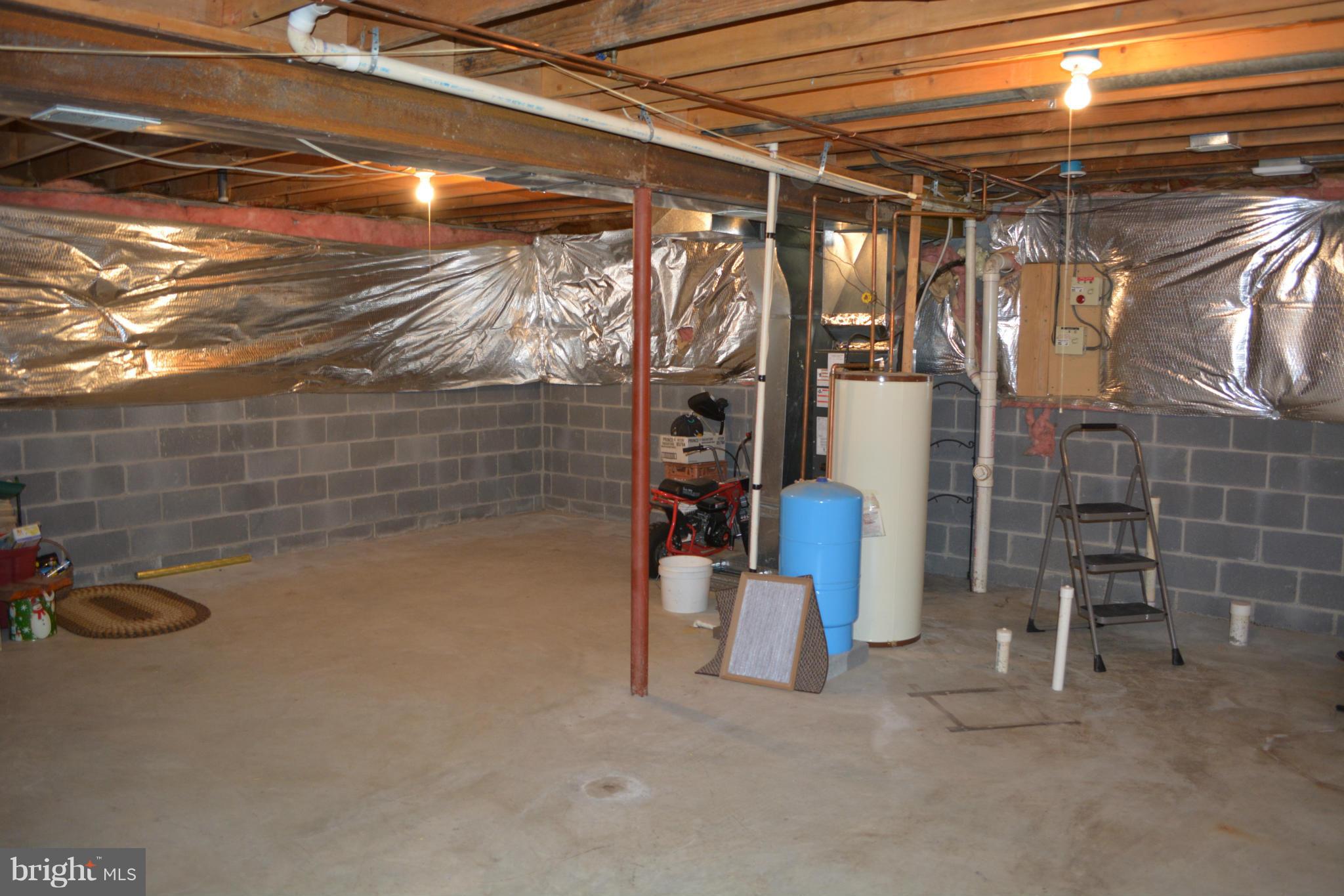 19670 Fort Valley Road Strasburg, VA 22657 - Photo 12 of 13 Basement