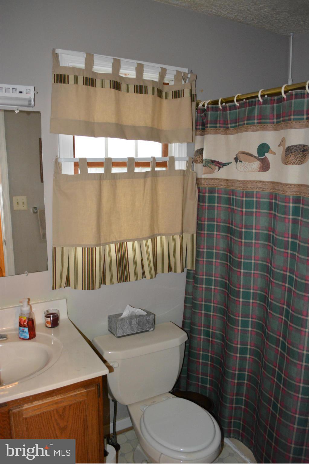 19670 Fort Valley Road Strasburg, VA 22657 - Photo 8 of 13 Bath