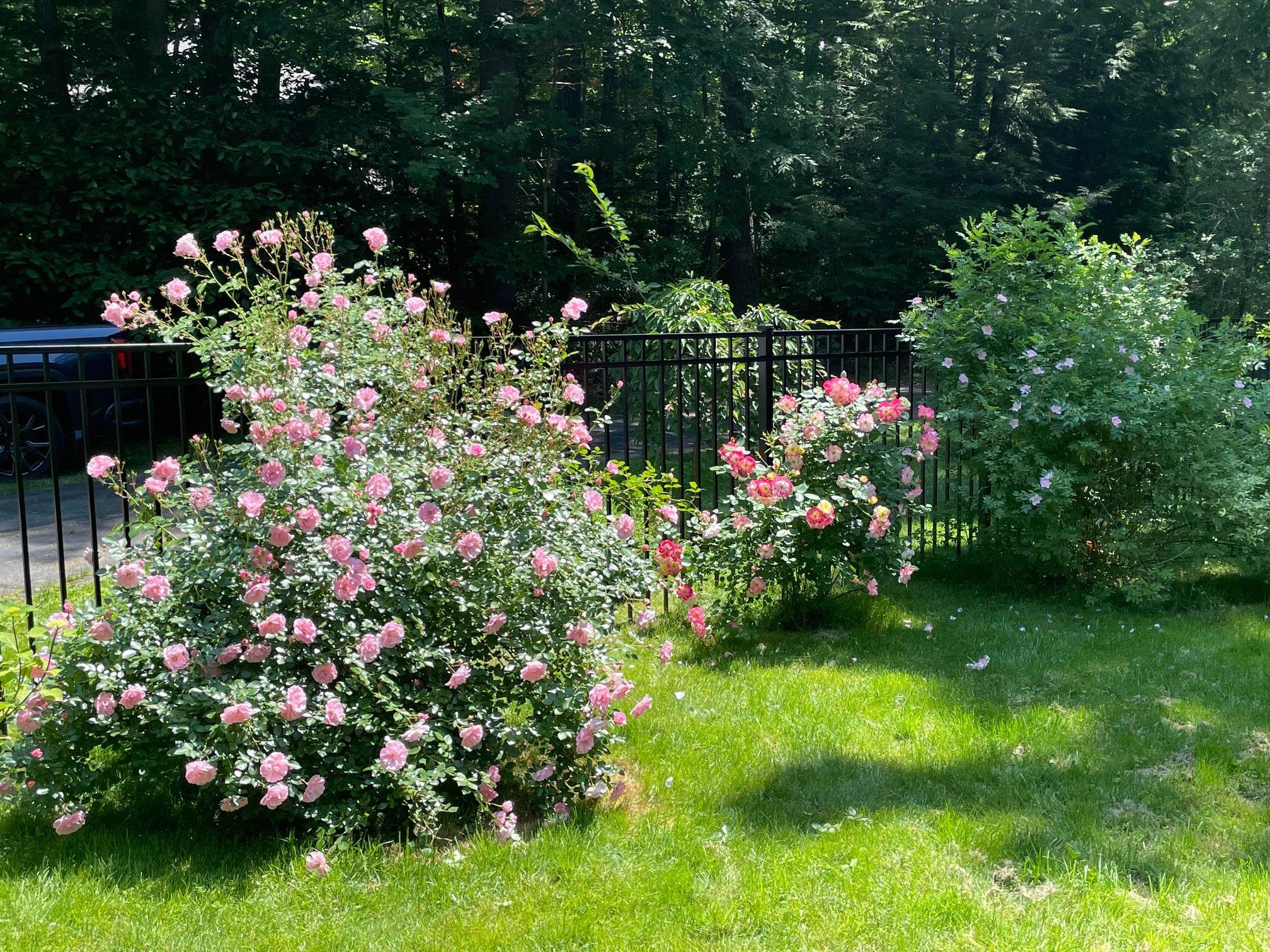 22 Colonial Way Exeter, NH 03833 - Photo 50 of 51