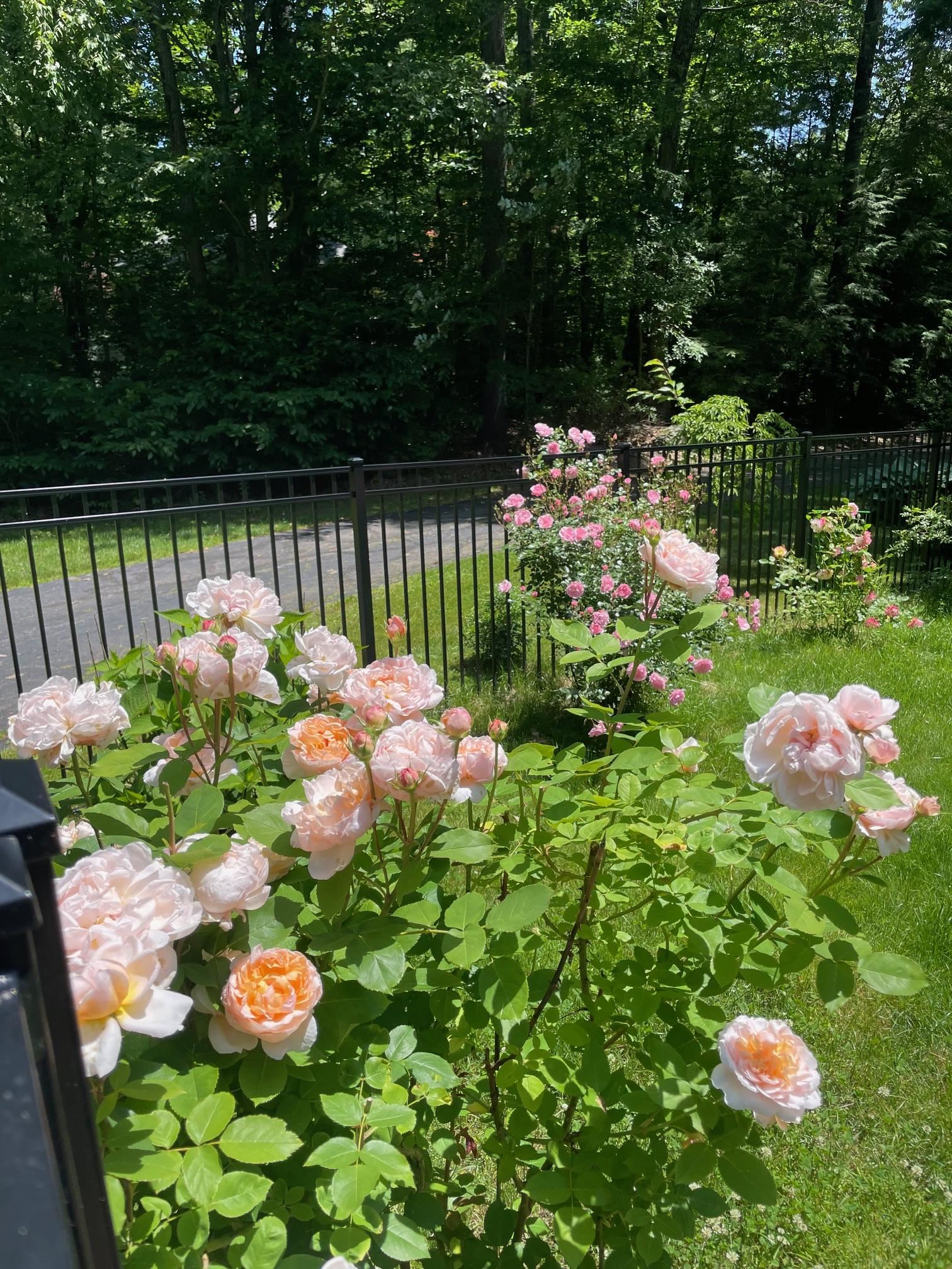 22 Colonial Way Exeter, NH 03833 - Photo 51 of 51