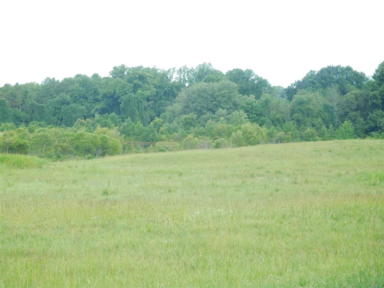 11 Highway 11 Gaffney, SC 29341 - Photo 4 of 6