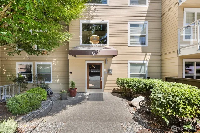 a view of a house with potted plants and a large tree