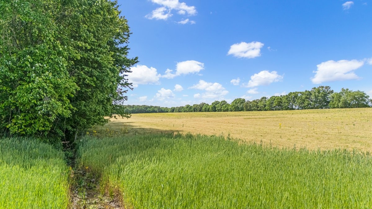 3249 Fredonia Road Manchester, TN 37355 - Photo 15 of 15 a view of a lake and a houses