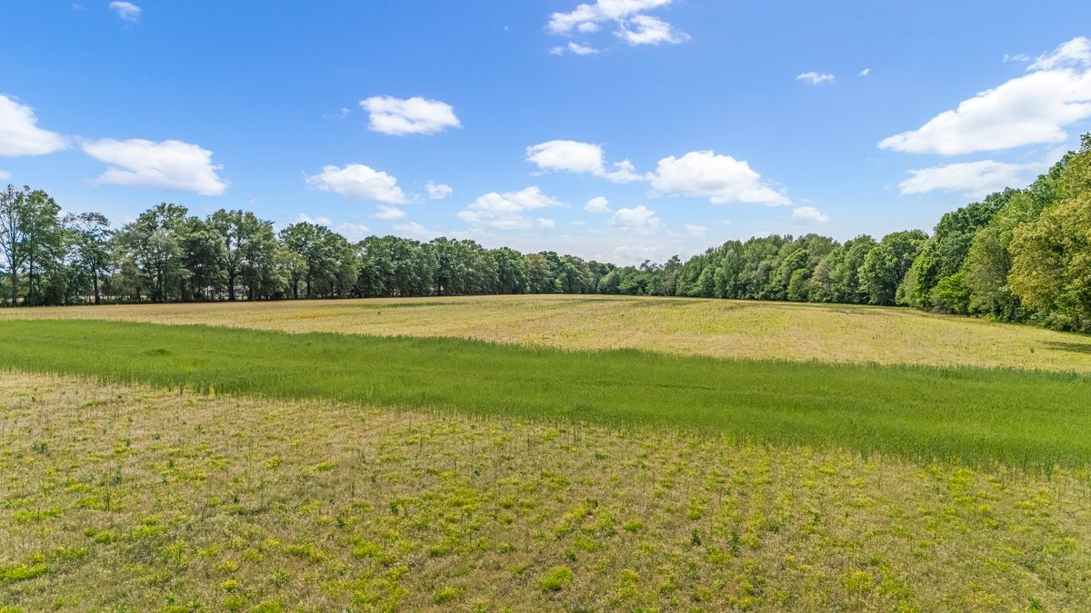 3249 Fredonia Road Manchester, TN 37355 - Photo 5 of 15 a view of a golf course with a lake