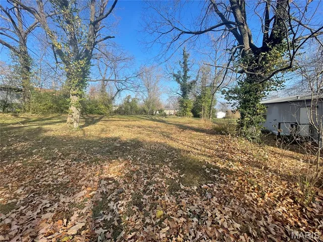 $47,250 | 605 South Park Avenue, Salem, MO 65560