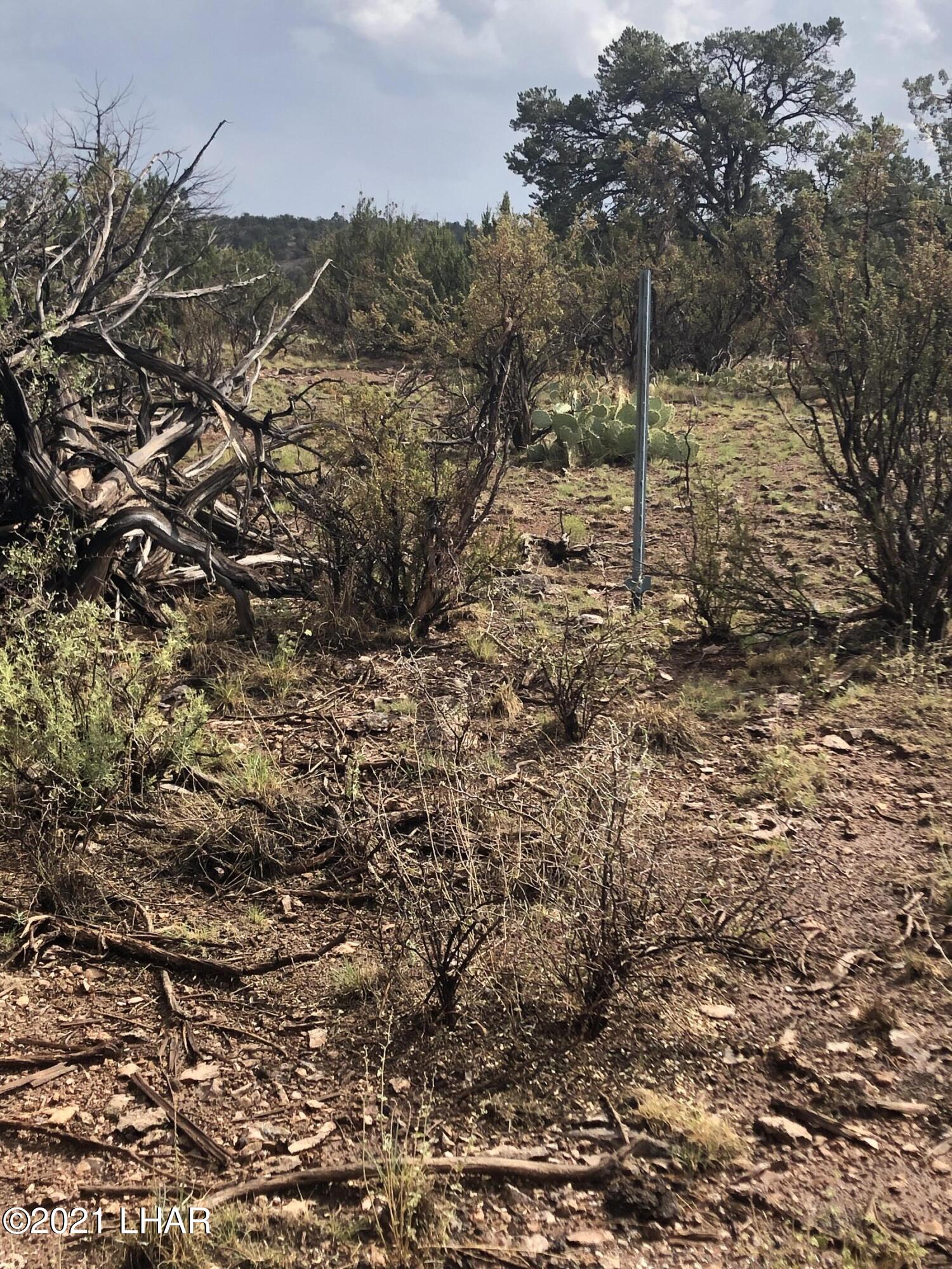 29565 Rock Ridge Road Seligman, AZ 86337 - Photo 2 of 8 Left corner