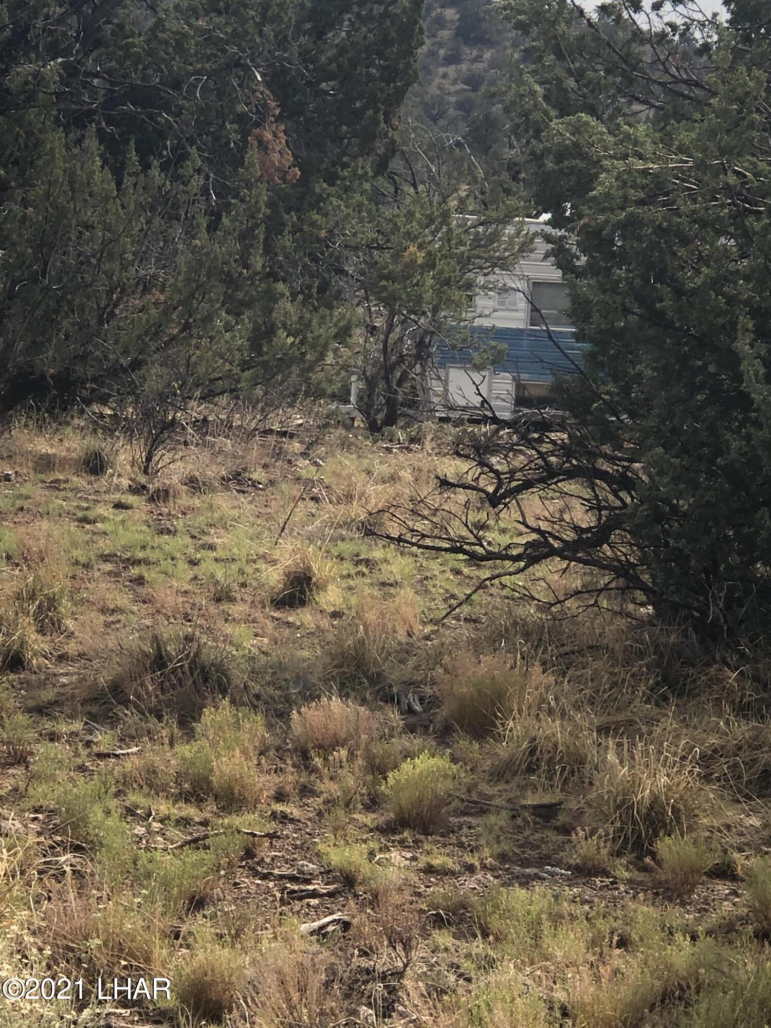 29565 Rock Ridge Road Seligman, AZ 86337 - Photo 5 of 8 Right corner