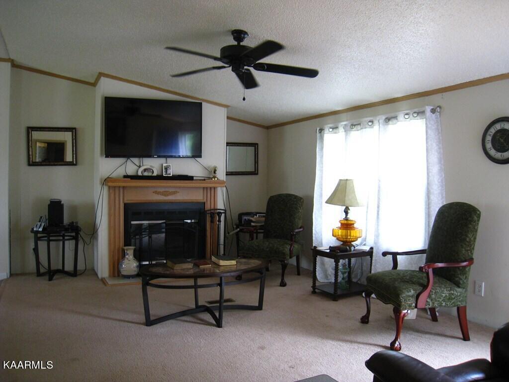 8566 State Highway Decatur, TN 37322 - Photo 3 of 15 20223225_3
