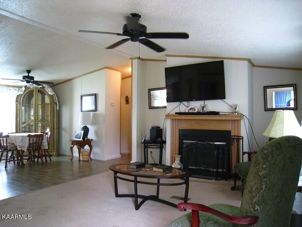 8566 State Highway Decatur, TN 37322 - Photo 4 of 15 20223225_4