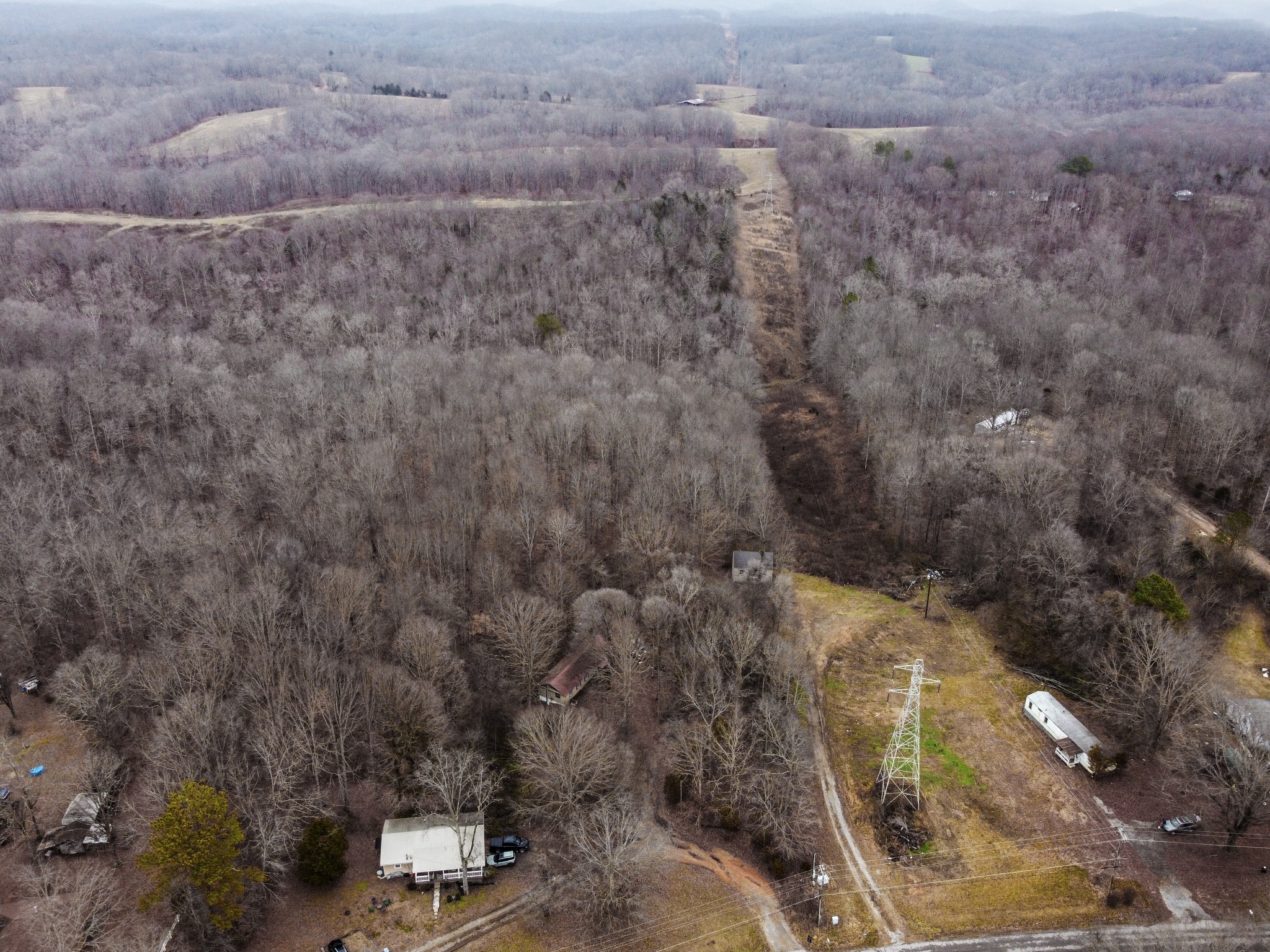 7164 Brush Creek Road South Fairview, TN 37062 - Photo 10 of 11 a view of a dry yard