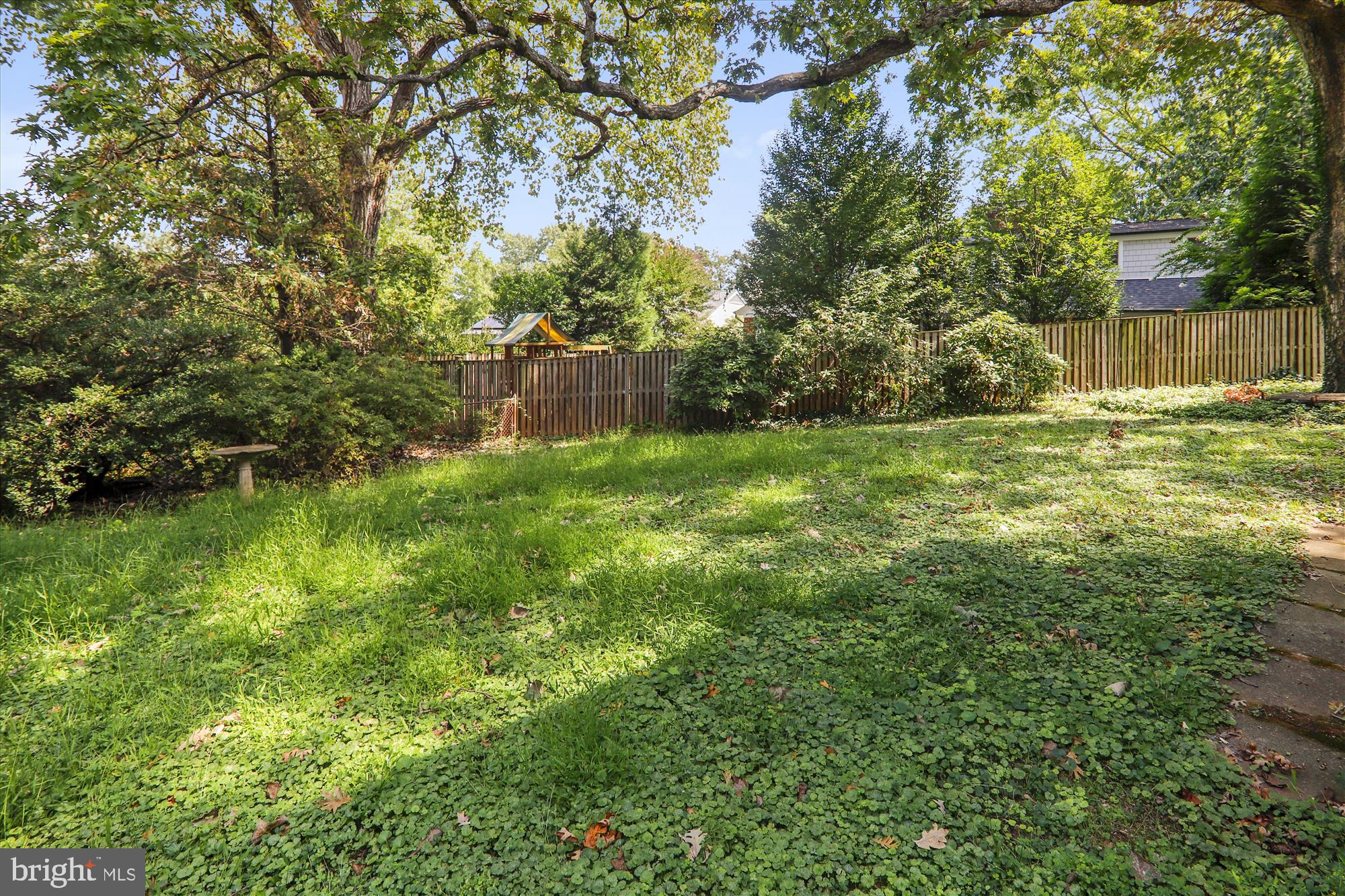 3303 Winnett Road Chevy Chase, MD 20815 - Photo 49 of 54 a view of a yard with a tree