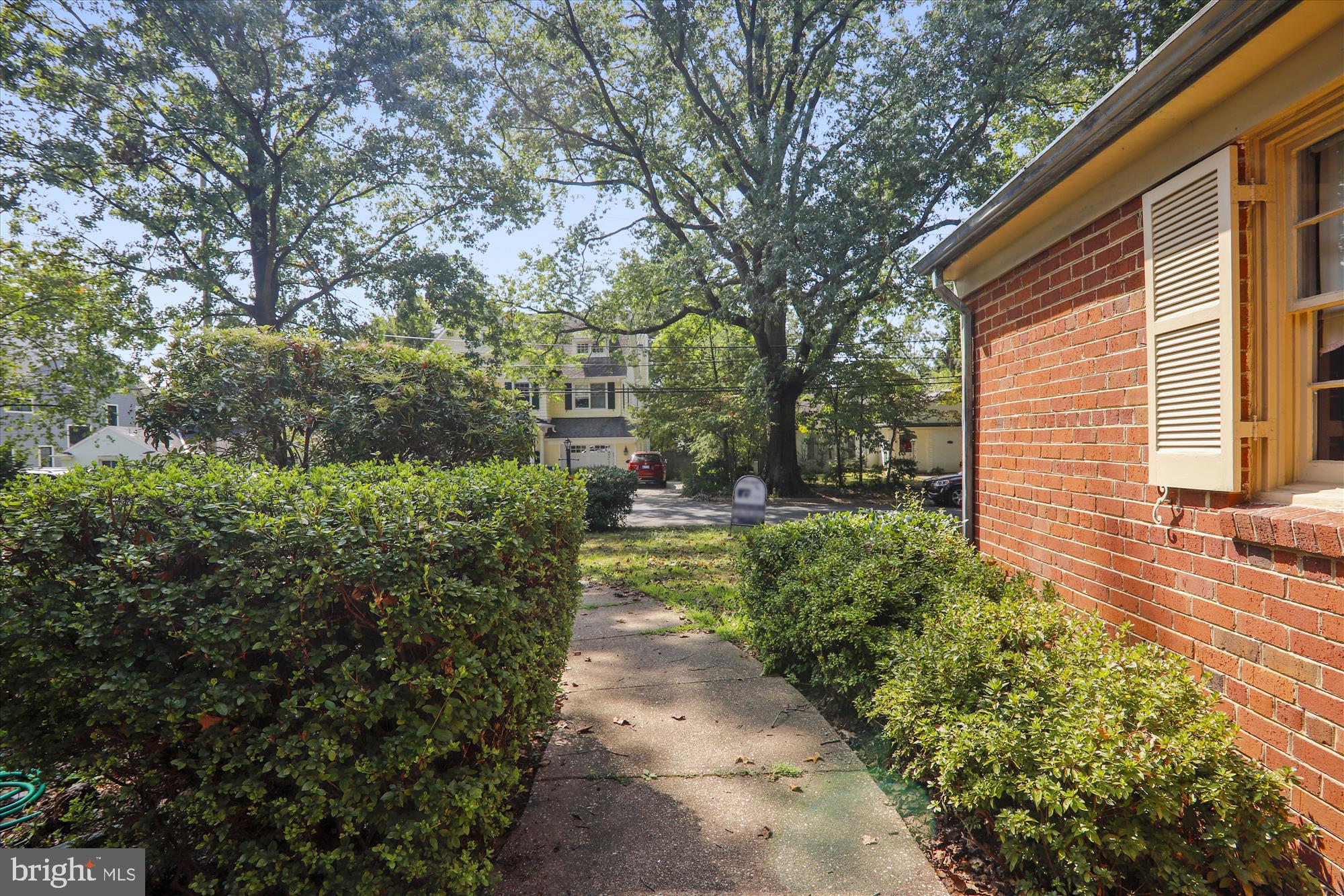 3303 Winnett Road Chevy Chase, MD 20815 - Photo 50 of 54 a view of a yard with plants and large trees
