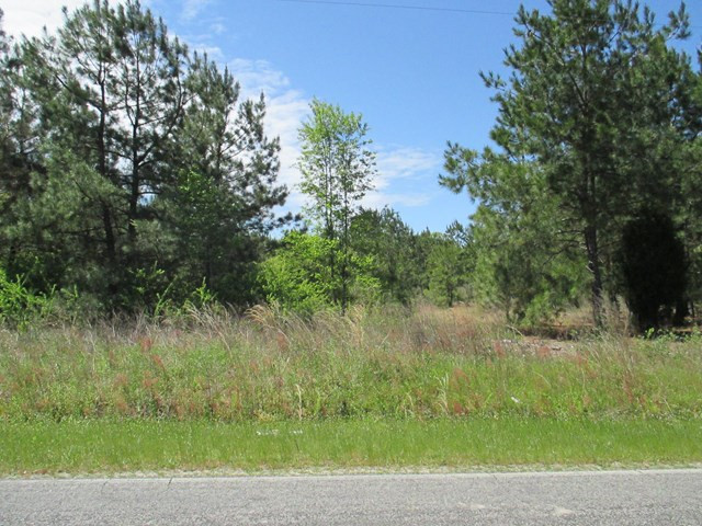 3245 Nazarene Church Road Sumter, SC 29154 - Photo 1 of 1 Gallery Image 1