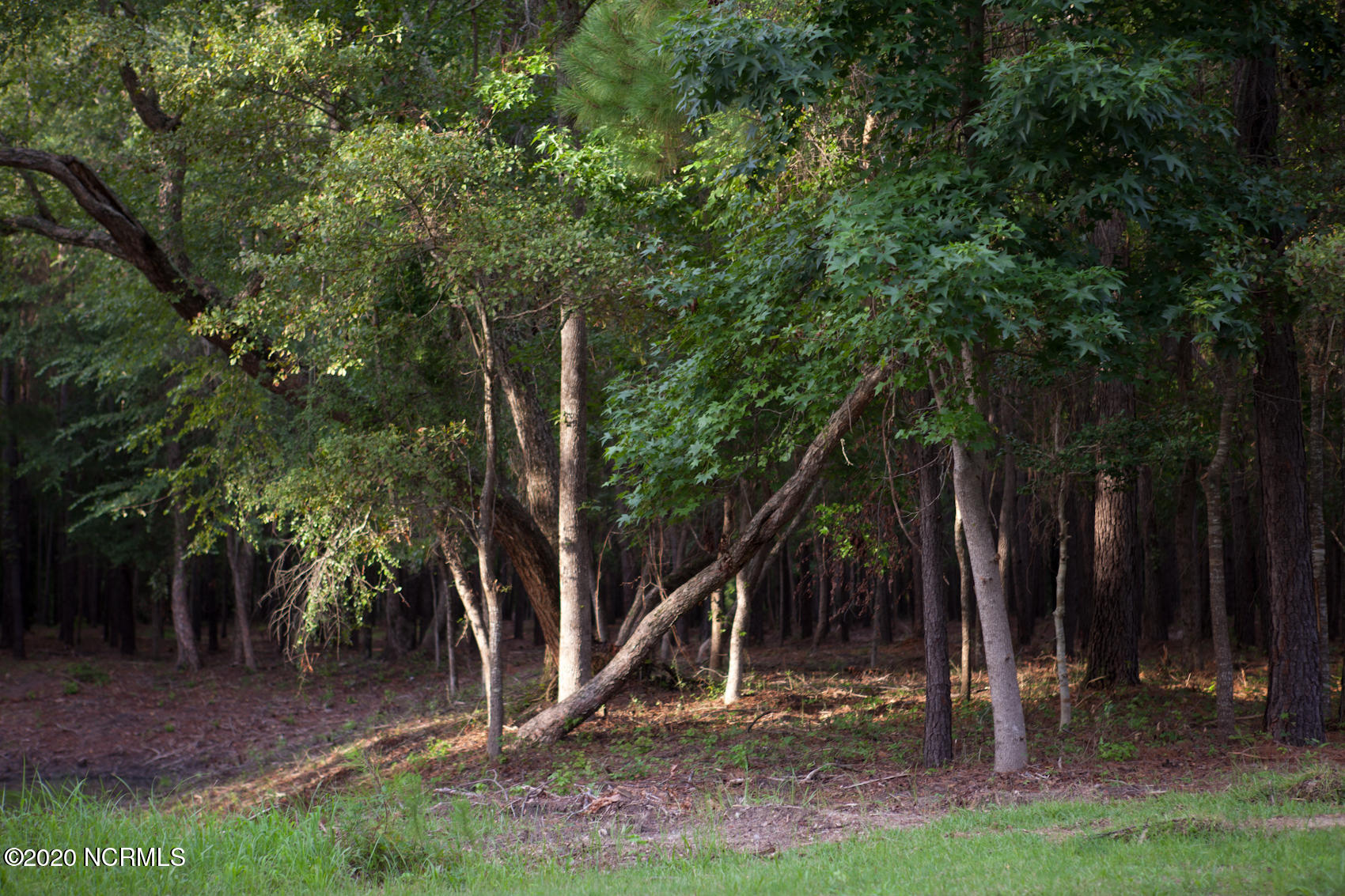 Lot 19 Whitebridge Road Hampstead, NC 28443 - Photo 3 of 5 lot 19 1