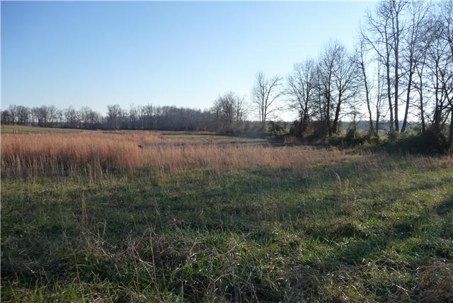 0 Williams Road Manchester, TN 37355 - Photo 1 of 8 View of Lot# 19 Bring the horses! This is restricted but allows for horses.